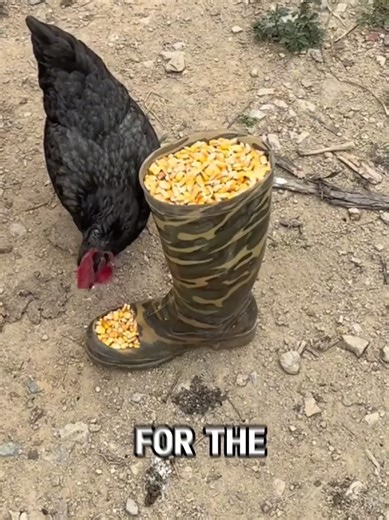 Innovative Repurposing Ideas for Everyday Items