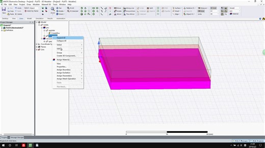 Maxwell 电容分析