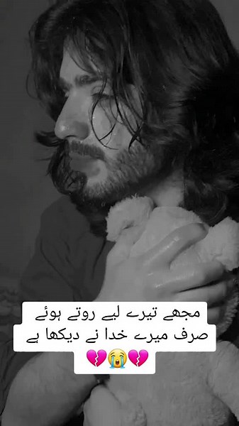 Holding Comfort: Emotional Connection with a Stuffed Animal