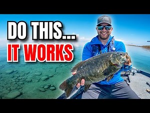 EASY Shallow Water Bass Tactics for Spring Fishing! (Don't Miss This!)