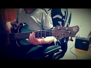 Tina Turner - "Steamy Windows" (Bass cover)