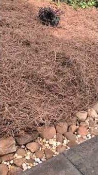 Retaining Wall & Drainage Solution | How We Fixed Erosion and Water Problems | Brooks Landscaping
