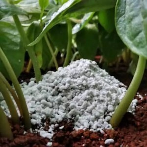 Buy Perlite (100 gms)- Rs.49/- Sale Online India