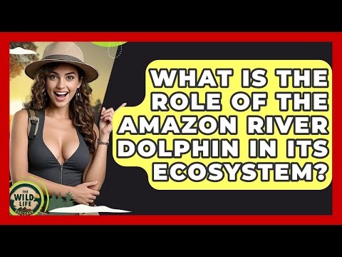 What Is The Role Of The Amazon River Dolphin In Its Ecosystem? - The Wild Life Explorer