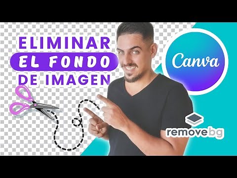 Cómo borrar el fondo de una imagen en Canva sin descargar programas 😎