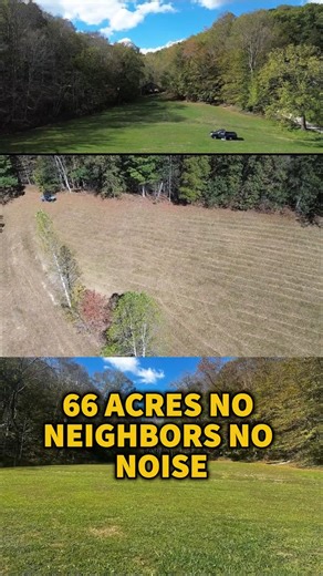 No Neighbors, No Noise! Total Privacy on 66 Acres! | Home cleaners