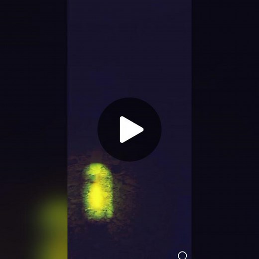 #CapCut Alone but happy 😊😊#hamxukhans #hamxukhan1177 #hospital #nurse #foryou #foryoupage #tiktok #hostellife #tqin #bkmcswabi #pakistanzindabad #CapCut @Kashmala suleman real