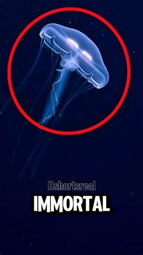 This Creature Rewinds Its Life 😱👀 #shorts #evolution #insane