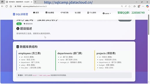 SQL闯关练习平台