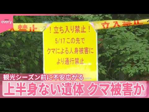 【クマ被害か】奥多摩で上半身ない遺体 2日前には男性が襲われ重傷…不安広がる