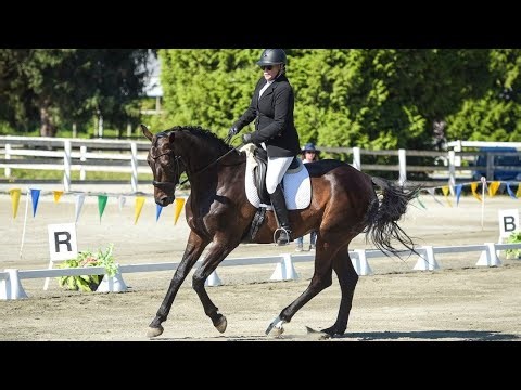 Seraphina CSF- First level Test 2