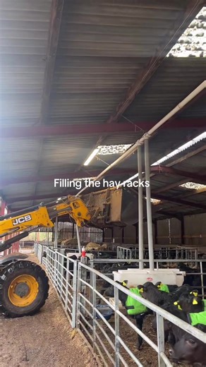 Filling the Hay Racks: Sustainable Farming Practices