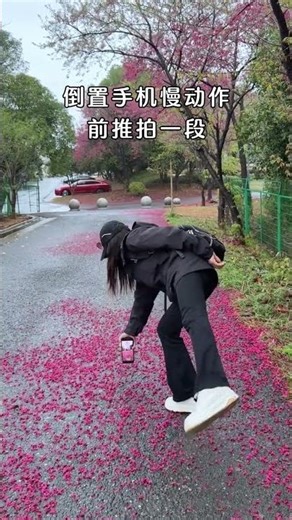One trick to teach you how to take photos of falling flowers in spring. Mobile phone photography