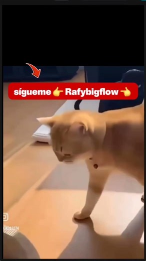 El morenito no es mio😌 jaja 🤭