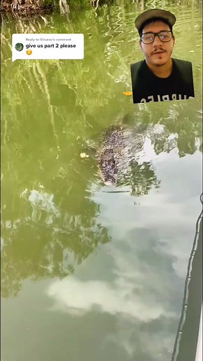 Ramree Island Crocodile Attack: Real Footage Revealed