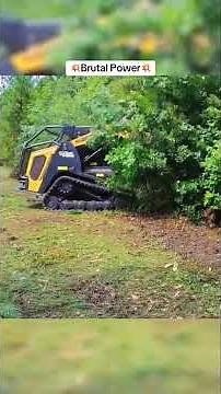 The Mini Excavator Revolution in Tree Removal