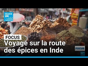 Inde : à la découverte de la route des épices dans l'État du Kerala • FRANCE 24