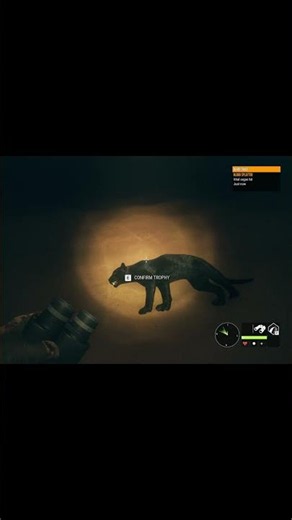 Melanistic Level 8 Jaguar.