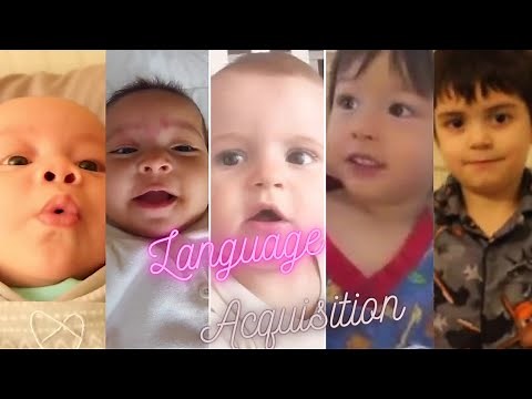 [Stages] First Language Acquisition