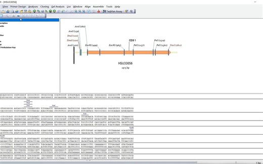 Vector NTI 11.5.3 序列分析 下载安装指南,零基础也能学会
