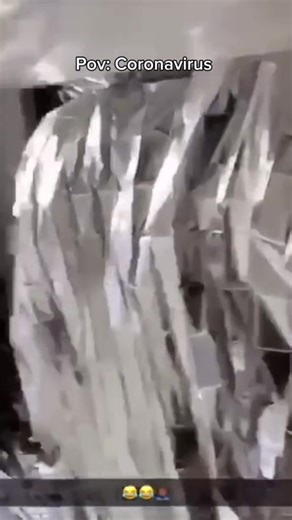 Zij maakte geen grappen😂#foryou #NL #memes #coronavirus