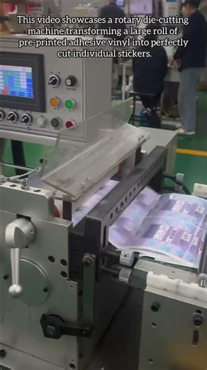 Precision High-Speed Sticker Die-Cutting and Stacking