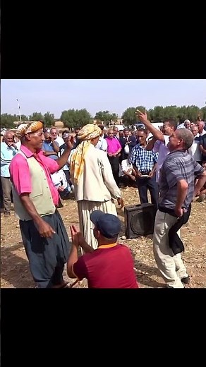 Gasba danse Rai قصبة ورقص الراي #shorts