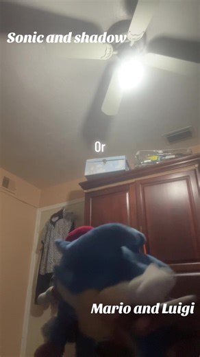 Sonic and shadow versus Mario and Luigi #marioandluigi #sonicandshadow #plushtuber