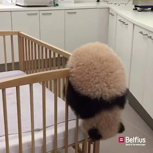 Als wij deze sloebers kunnen verzekeren, kunnen wij zeker voor u ook iets betekenen. | Belfius