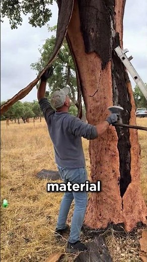 You Won’t Believe How Wine Corks Are Actually Made! 🤯