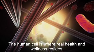 Genes and Longevity: Your DNA is not Destiny. DNA determines just a fraction of your health span and longevity. Your lifestyle is the key to living better, healthier, and longer. Book a discovery call with us to learn more, #IntegrativeWellnessPractitioner #quantumbiology #reverseaging #functionalmedicine #AntiAging #longevity #PreventionIsBetterThanCure | DrMarcus Robinson
