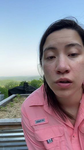 Urban Gardening Tips for Thriving Green Spaces