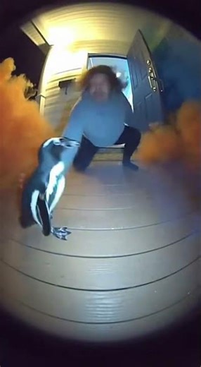 Penguin DROPS a Color Smoke Bomb! 🐧🌈💥