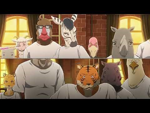 Beastars/ Los herbívoros culpan a los carnívoros por la muerte de Tem