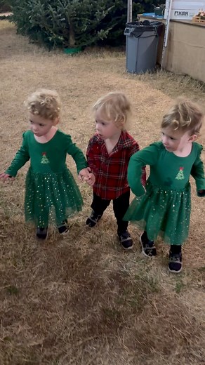 Triple the cuteness for our annual Christmas Tree night! We absolutely love going to Mikes Christmas Trees in Tampa, Florida. Stay tuned for all their cuteness tomorrow! #tripletstory #triplets #christmastree | TripletStory