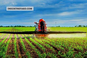 What Is Atrazine Used For: Things We Found Out - Inside The Yard