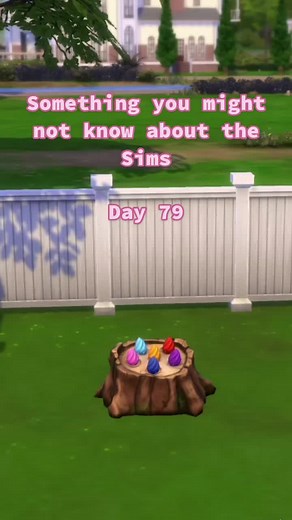 TikTok - Make Your Day