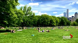 A look at the growing concerns from U.S. health officials that the Memorial Day long weekend will trigger a surge of new COVID-19 cases. Plus, how the Alberta city of Brooks was able to crush the curve. Also see: https://globalnews.ca/national/program/global-national | Global National