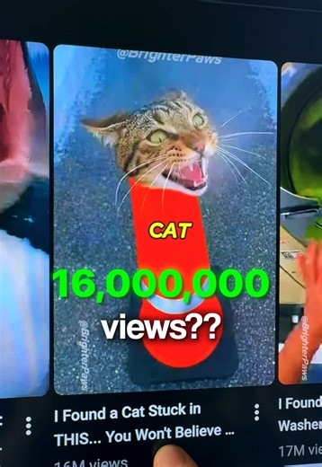 Creating Engaging AI Animal Rescue Videos