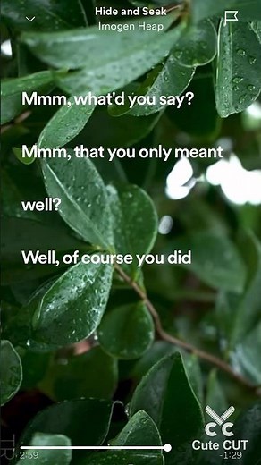 Hide And Seek - Imogen Heap - Lyrics - Mmm whatcha say mm that you only meant well well of course