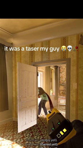 Hilarious Taser Prank Gone Wrong