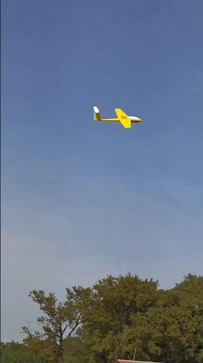 Vario Jet . 3d printed rc model. on cults 3d