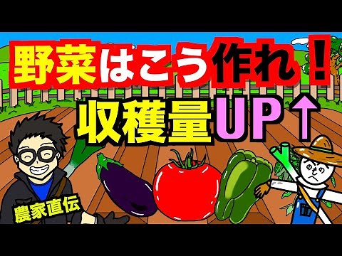 【収穫量UP】農業・家庭菜園の野菜を増やすテクニックを伝授！ちょっとしたコツで収穫量が増やす事ができる！【アニメでわかる家庭菜園・ガーデニング解説】
