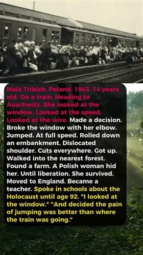 She Escaped a Train to Auschwitz — Jumped at Full Speed — Survived