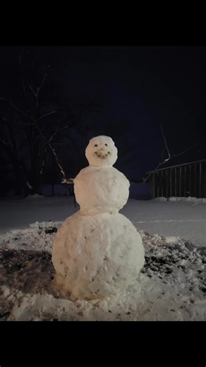 bob had one too many i guess #snowman #fail #funny #pyp