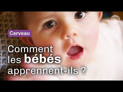 Inside the minds of babies | CNRS report