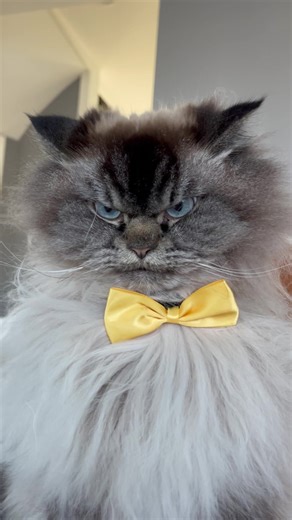 POV Merlin is your therapist what do you have to say for yourself