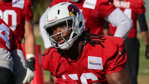 Cardinals' Darius Robinson ready to bounce from rookie season