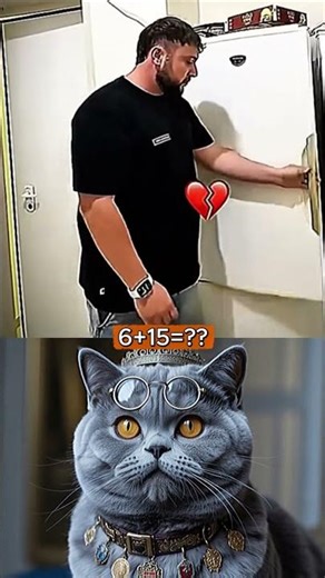 Funny Cat Meme Challenge