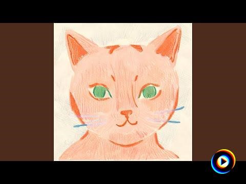 pack up by Shellfish Sponge